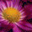 Предпросмотр схемы вышивки «Натюрморт хризантемы» (№1447773)