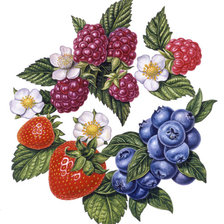 Оригинал схемы вышивки «ягоды» (№1449468)