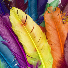Схема вышивки «Яркие перья»