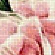 Предпросмотр схемы вышивки «розы» (№1453437)
