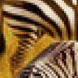 Предпросмотр схемы вышивки «Мир животных» (№1457569)