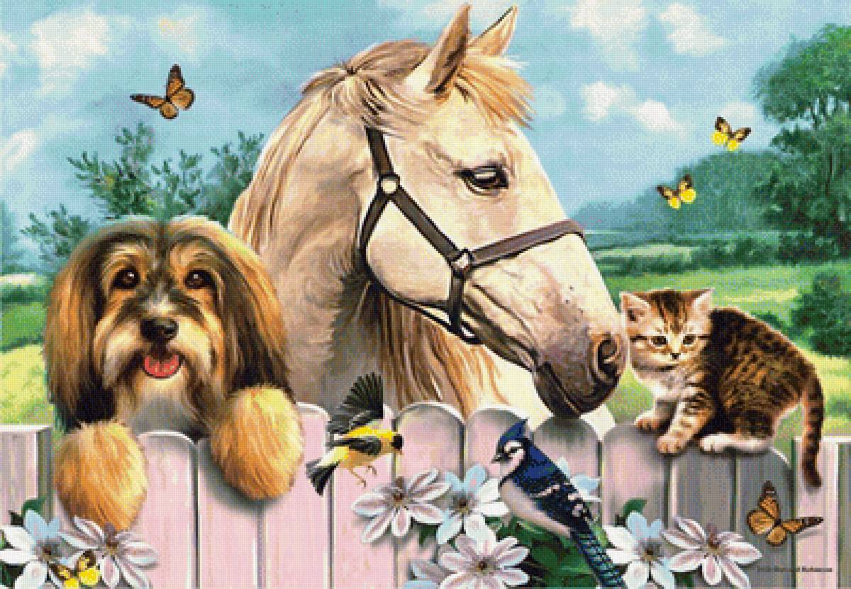 Мир животных - лошадь, собака, животное - предпросмотр