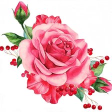 Оригинал схемы вышивки «роза нежная» (№1466383)