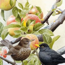 Оригинал схемы вышивки «Птицы на яблоне» (№1490591)