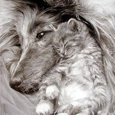 Схема вышивки «кот и пес»