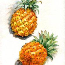 Схема вышивки «ананас»