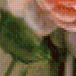 Предпросмотр схемы вышивки «розы» (№1506407)