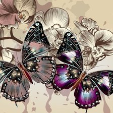 Схема вышивки «картина бабочки»