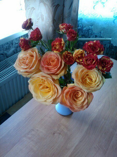 Розы - цветы в вазе, розы, красные розы, желтые розы, цветы - оригинал