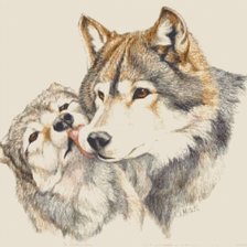 Схема вышивки «Волки любовь»