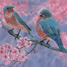 Оригинал схемы вышивки «Пара птичек на розовом» (№1541999)
