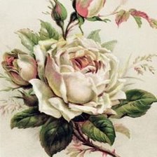 Оригинал схемы вышивки «Роза» (№1550494)