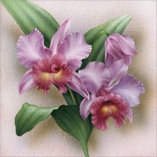 Оригинал схемы вышивки «Сиреневые орхидеи» (№1556260)