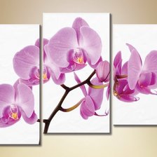 Оригинал схемы вышивки «Розовая орхидея. Триптих.» (№1556796)