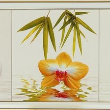 Схема вышивки «Орхидея. Триптих.»
