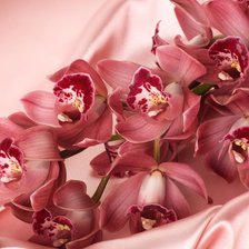 Схема вышивки «Орхидеи на атласе»