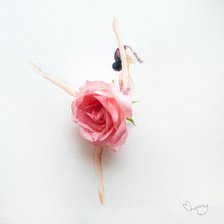 Оригинал схемы вышивки «Танцующая роза» (№1569229)