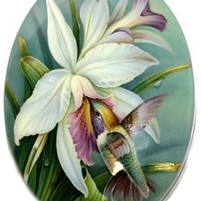 Схема вышивки «orchidea,kolibrík»
