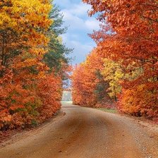 Схема вышивки «Осенняя дорога»