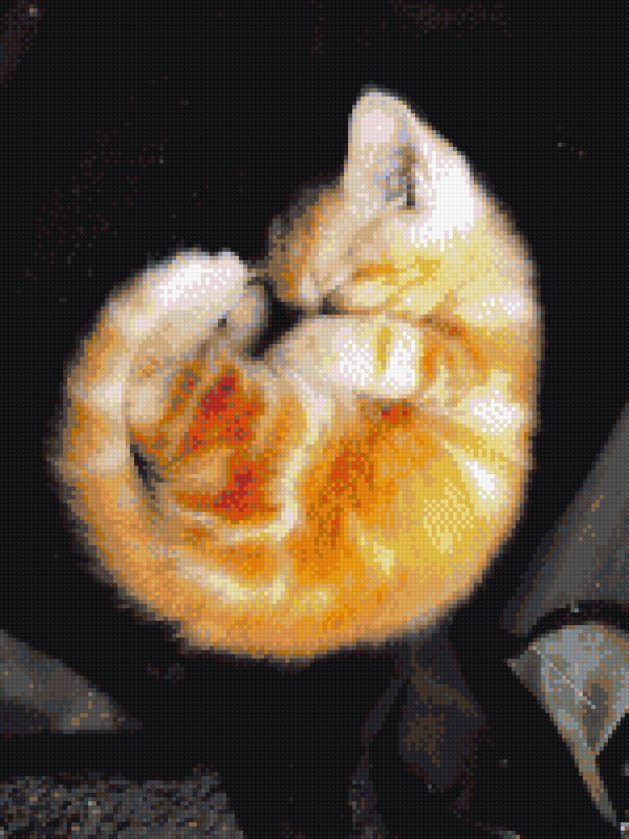 Рыжий котенок - кошки, котята - предпросмотр