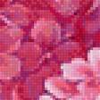Предпросмотр схемы вышивки «розовое чудо» (№1588626)