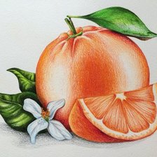 Оригинал схемы вышивки «мандарины» (№1589836)
