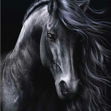 Оригинал схемы вышивки «100% черный конь» (№1594214)