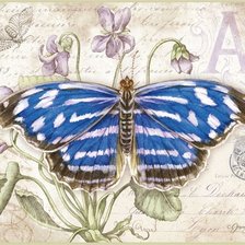 Схема вышивки «бабочки 14»