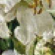Предпросмотр схемы вышивки «Букет белых цветов» (№1619754)