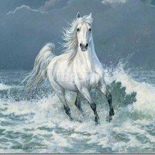Оригинал схемы вышивки «белая лошадь» (№1621743)
