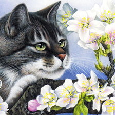 Оригинал схемы вышивки «Весенний кот» (№1626311)