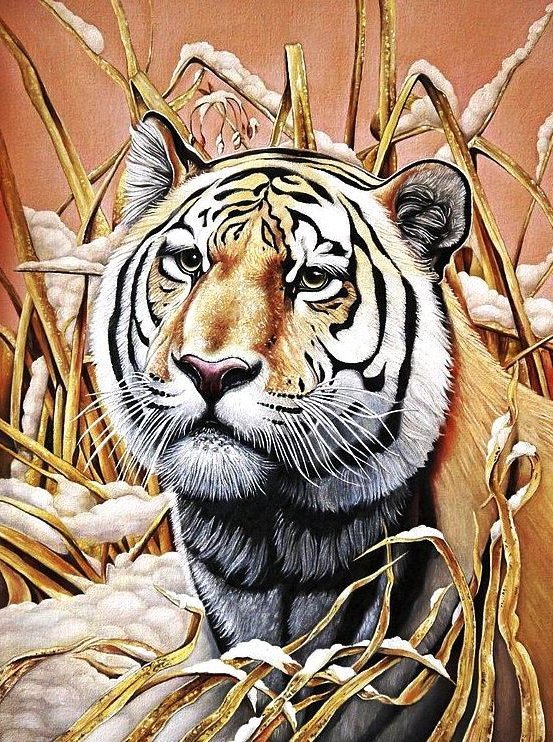 Тигр - тигр, животные, хищники, портрет - оригинал