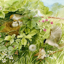 Оригинал схемы вышивки «Птичья семейка» (№1635263)