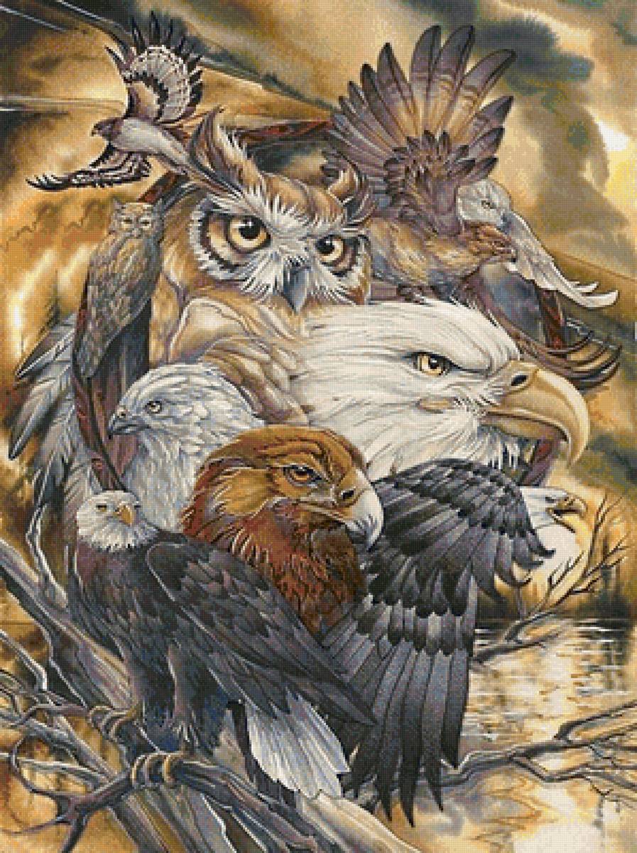 повелители неба(для shexobsova1812) - орел, филин, хищники, птицы, ястреб, коршун, сова - предпросмотр
