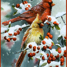 Оригинал схемы вышивки «кардиналы зимой» (№1647595)