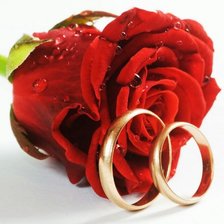 Оригинал схемы вышивки «Обручальные кольца с розой» (№1652941)