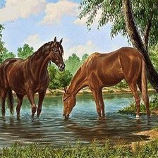 Схема вышивки «кони на водопое»