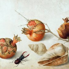 Оригинал схемы вышивки «Гранаты и жук» (№1657480)