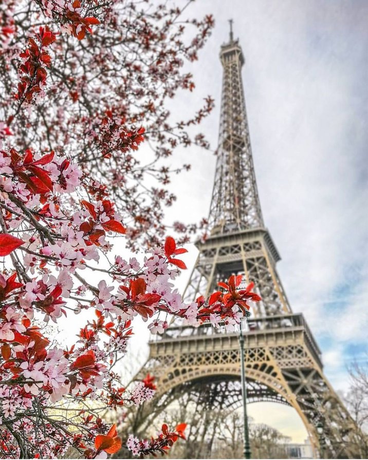 Париж весной - париж - оригинал