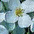 Предпросмотр схемы вышивки «Цветы в вазе» (№1659018)