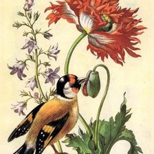Оригинал схемы вышивки «Птичка и цветок» (№1659519)