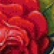 Предпросмотр схемы вышивки ««Как хороши, как свежи были розы...»» (№1664823)