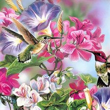 цветы и птицы