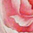 Предпросмотр схемы вышивки «Розовые пионы» (№1673011)
