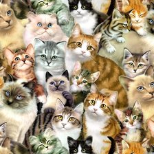 Схема вышивки «Много котиков»