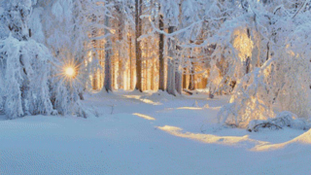 Солнце в зимнем лесу - лес, зимний лес, зима, солнце - предпросмотр