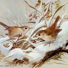 Оригинал схемы вышивки «Птицы зимой» (№1684614)