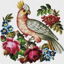 Схема вышивки «Попугай и розы»