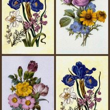 Оригинал схемы вышивки «цветочный коллаж 8» (№1691529)