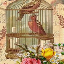 Оригинал схемы вышивки «Мир птиц» (№1692862)